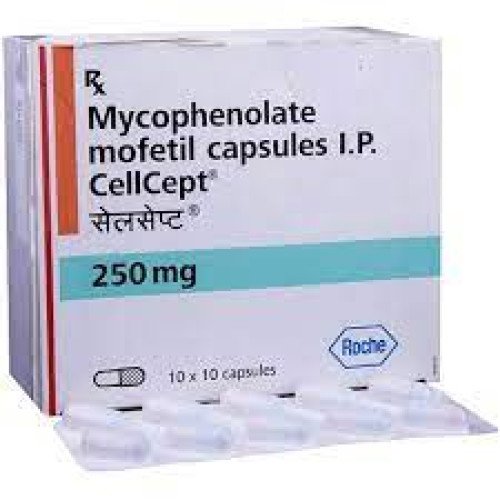 cellcept-250mg-capsule65_1775552513_412.jpg