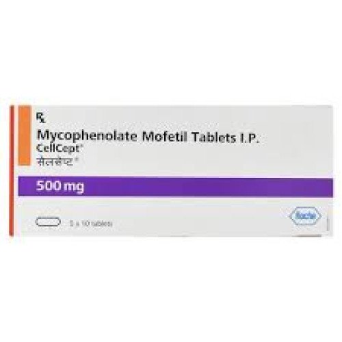 cellcept-500mg-tablet21_1775552539_421.jpg