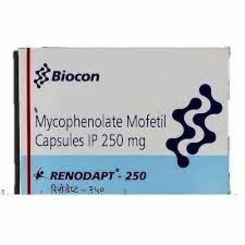 renodapt-250mg-capsule18_1775553251_590.jpg